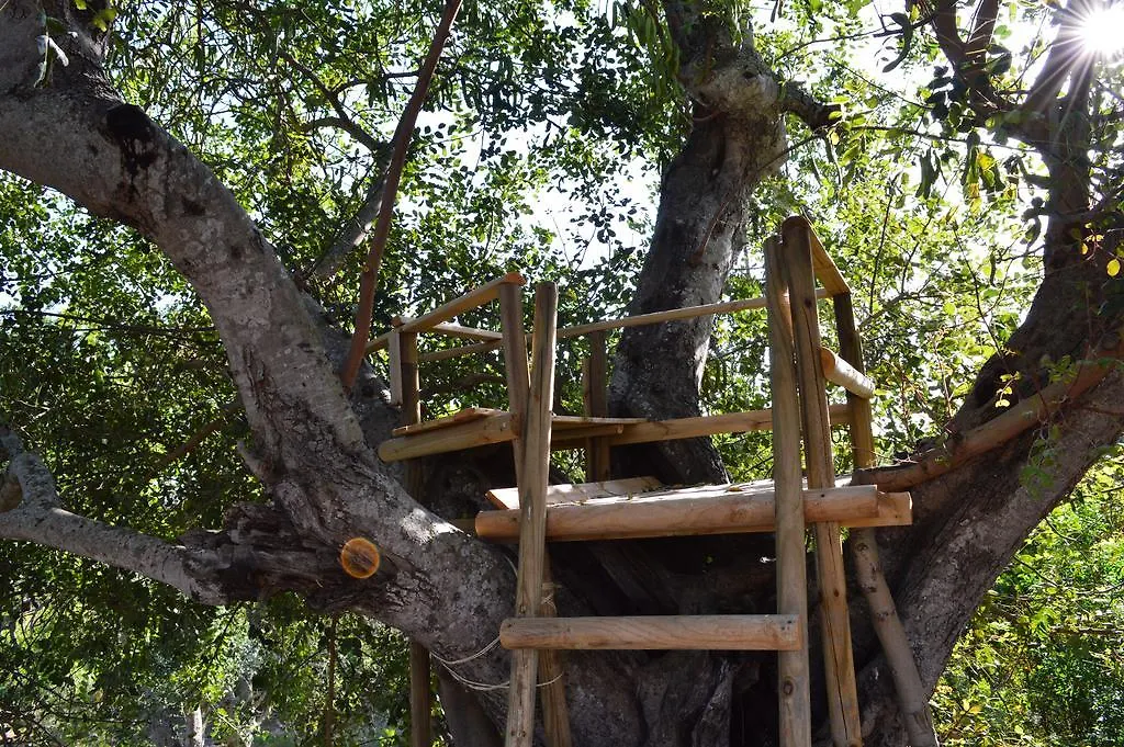Quinta Da Mesquita Acomodação com café da manhã Pêra